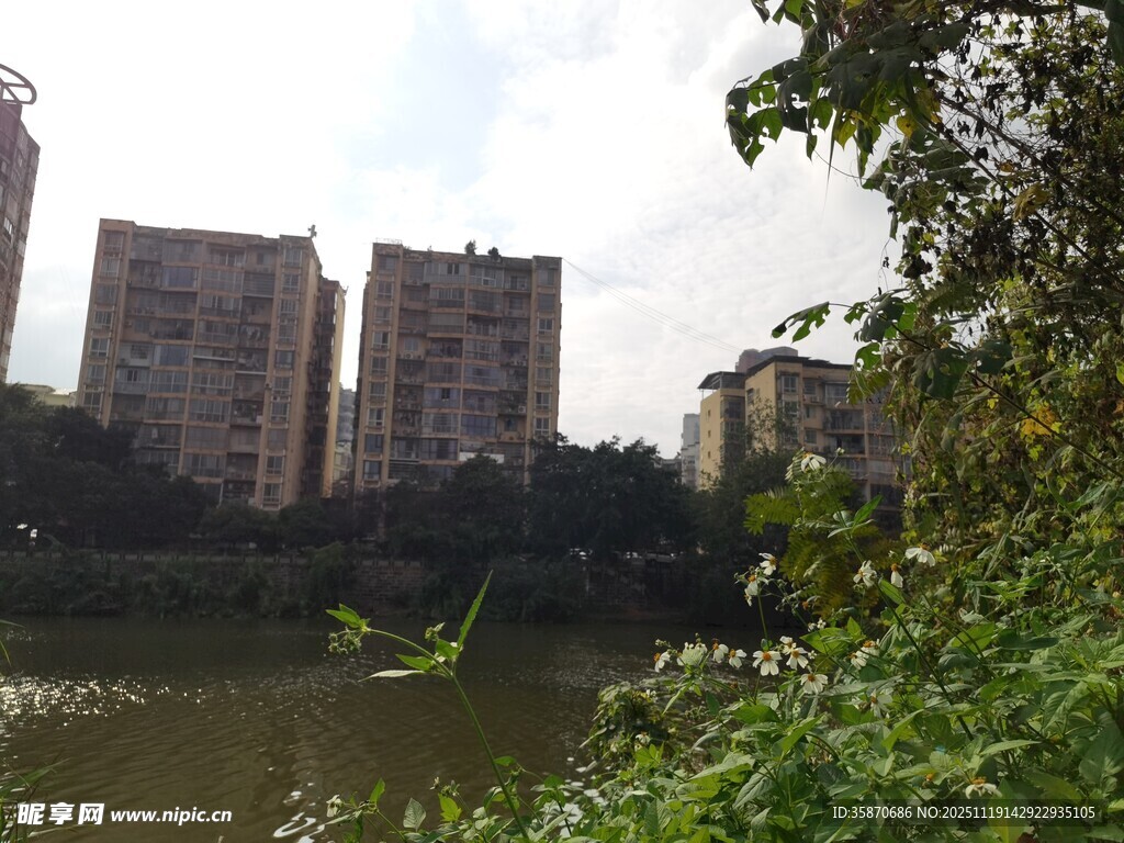 湖畔高楼与绿植景观