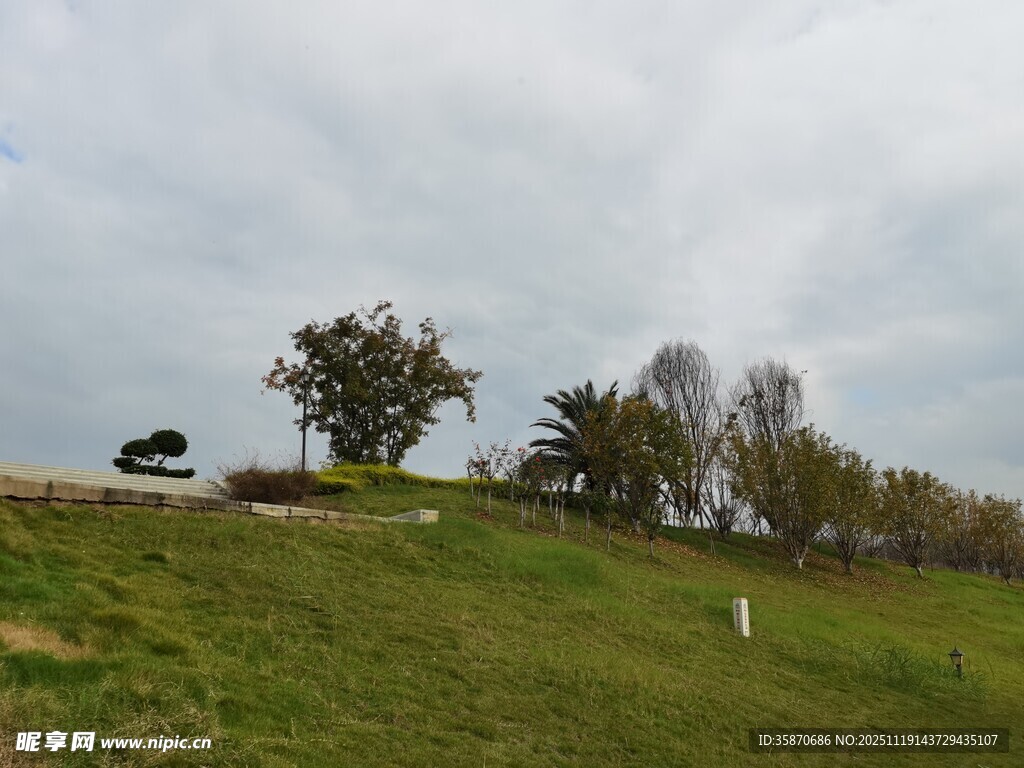 郊外绿意盎然的开阔草地