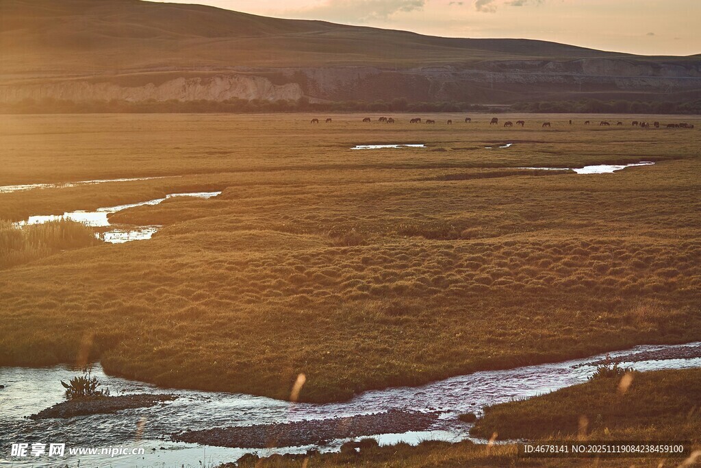 广袤原野上的蜿蜒溪流