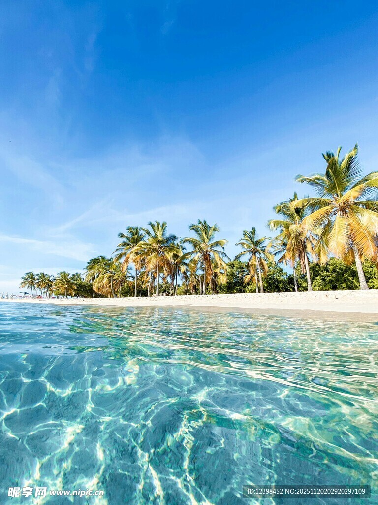 热带海岛清澈海水与椰林