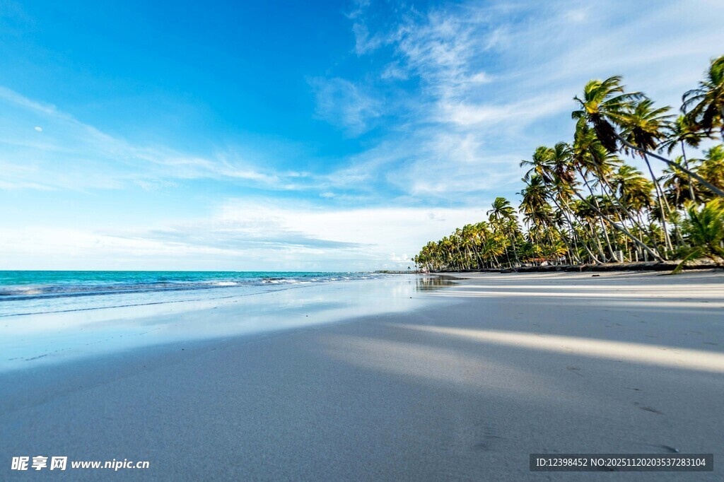 美丽海滨沙滩风光