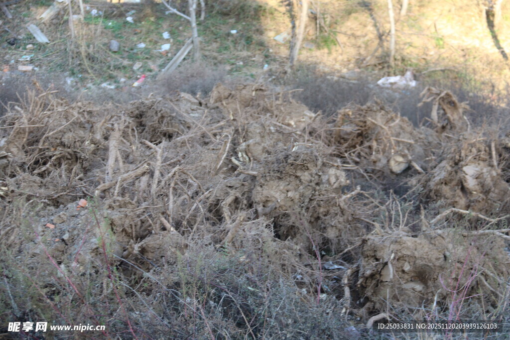 干枯杂草堆场景