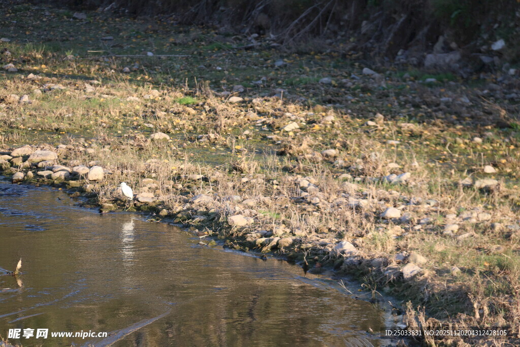 冬日岸边的宁静水域