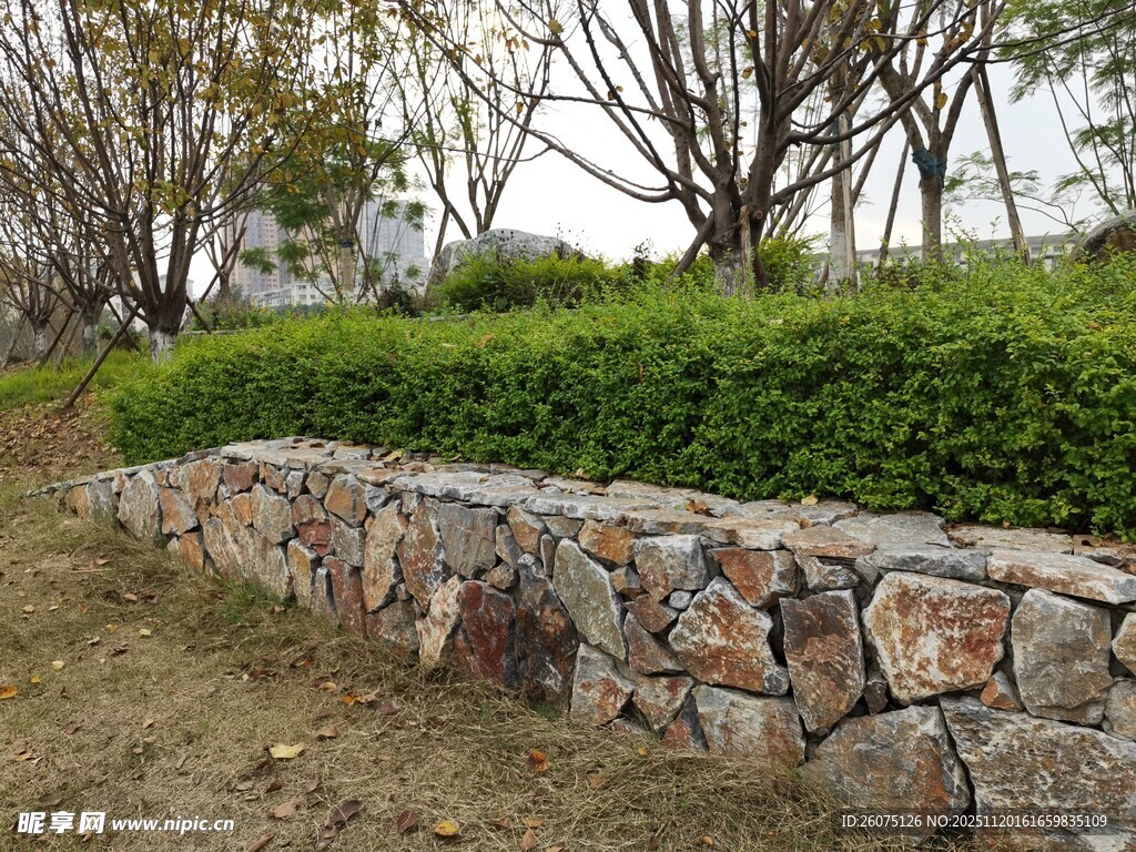 石砌矮墙与绿植景观