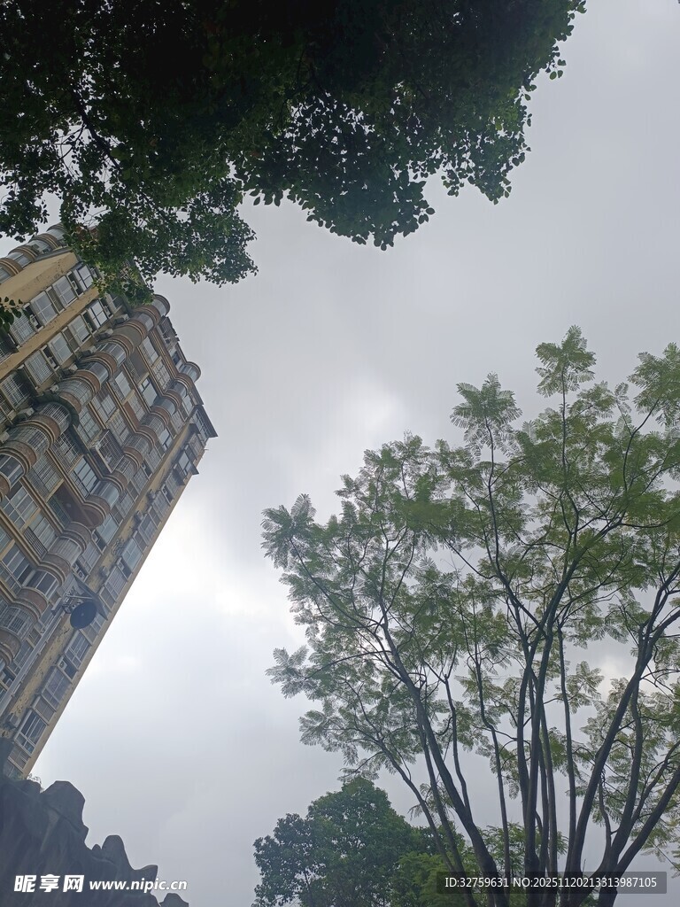 仰视高楼与绿树