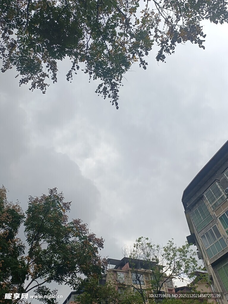 阴天城市建筑与树木景观