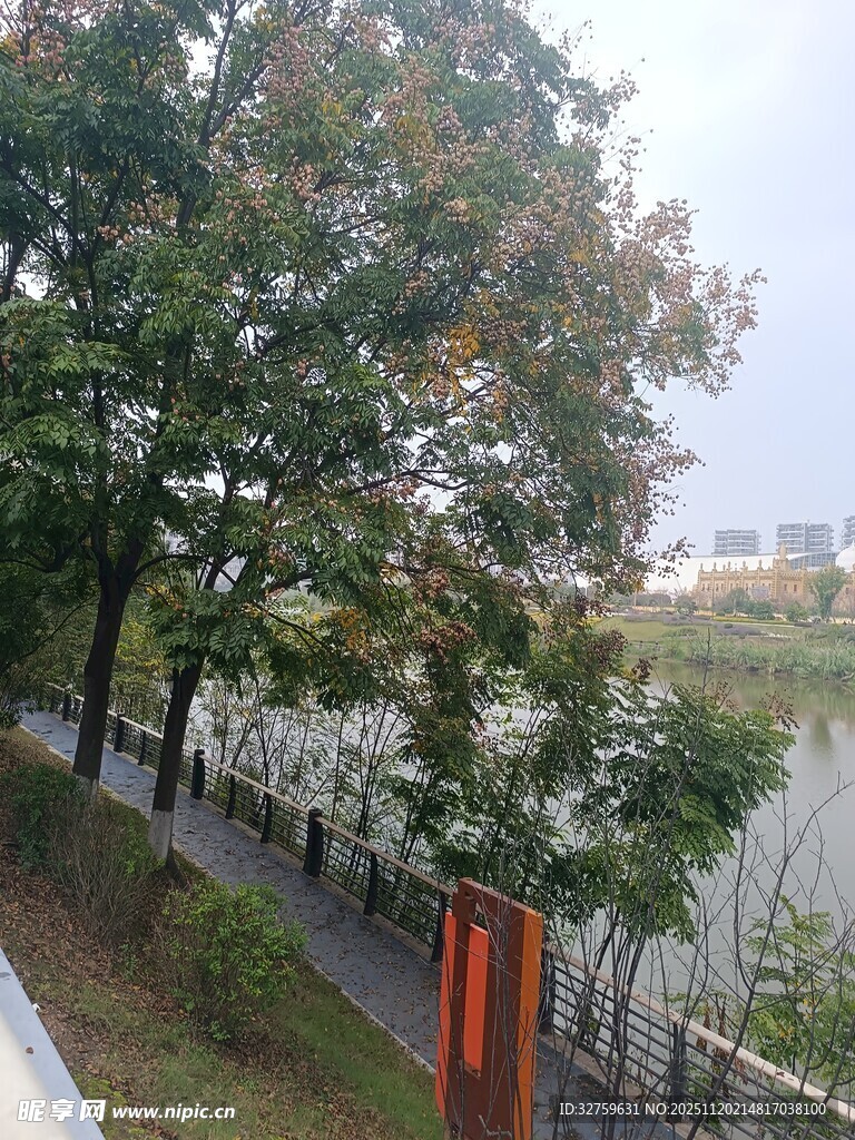 湖畔林荫小道风景