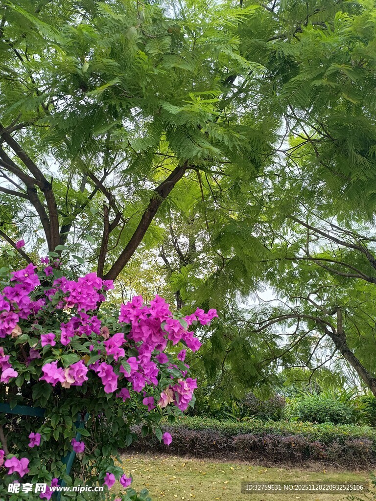 繁花绿树间的自然景致