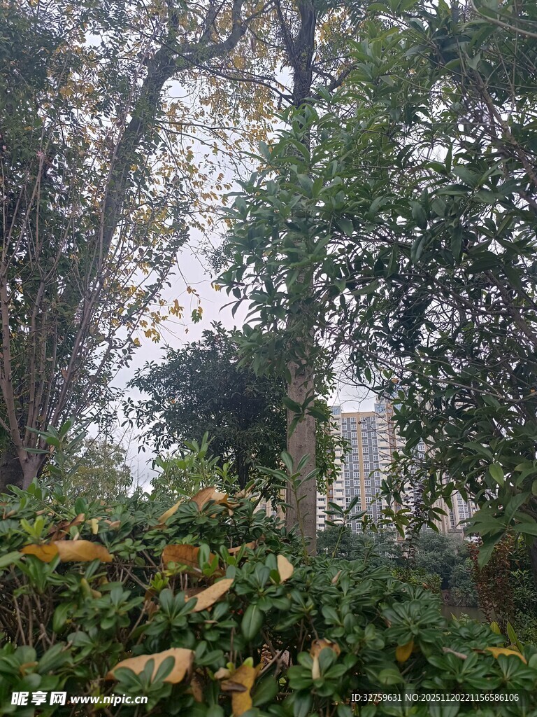 林间绿植环绕的白色建筑