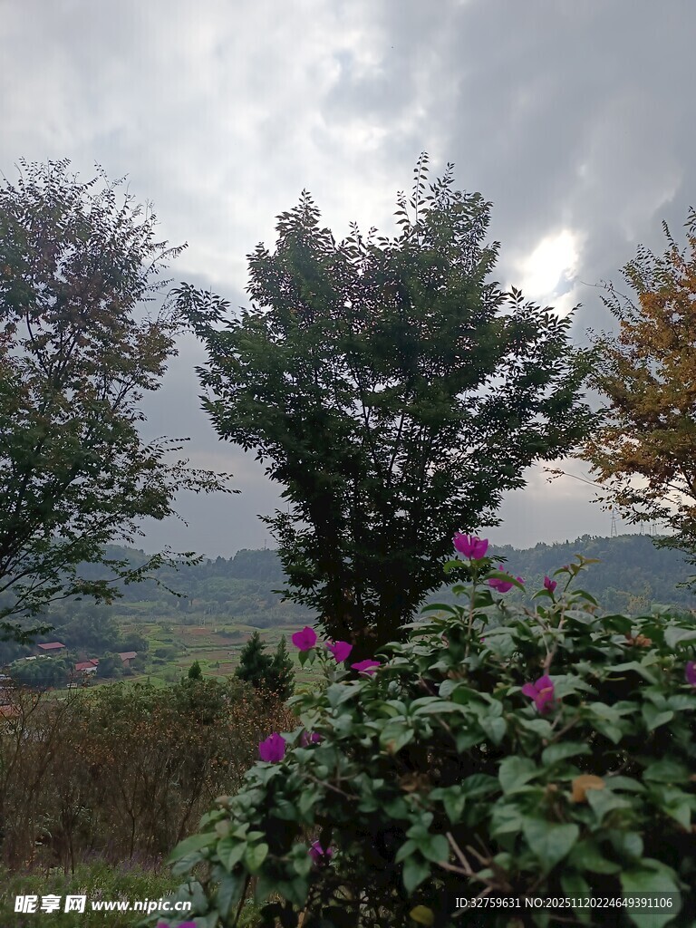 山间繁花绿树景致