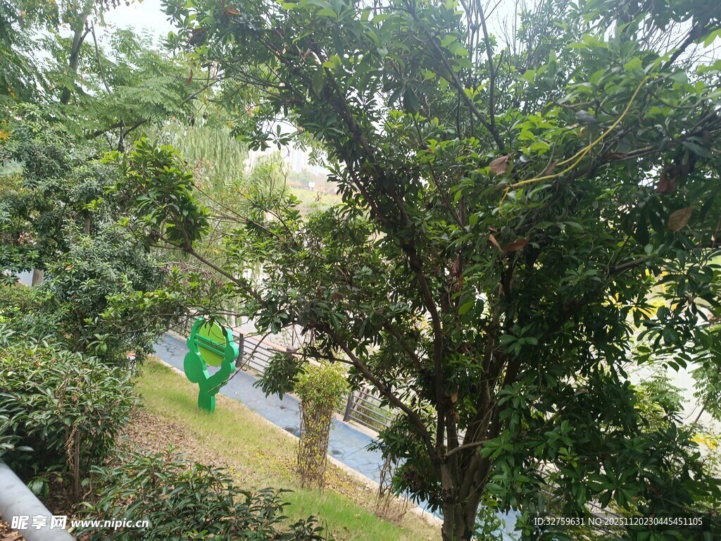 绿树环绕的静谧户外景致