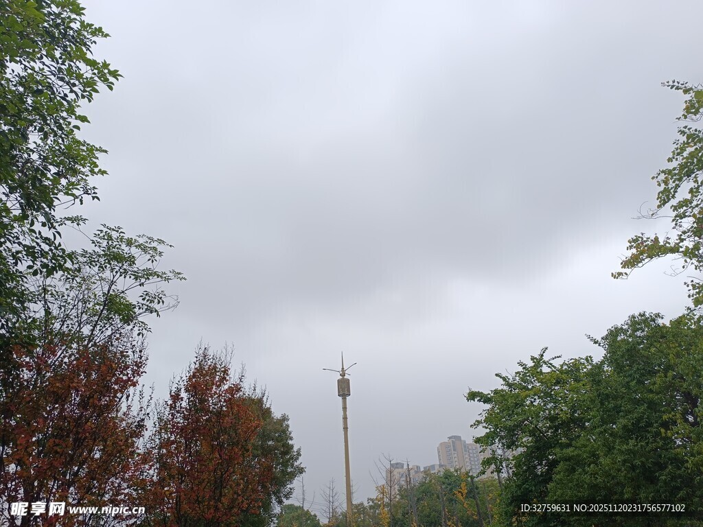 云雾中树木环绕的高塔