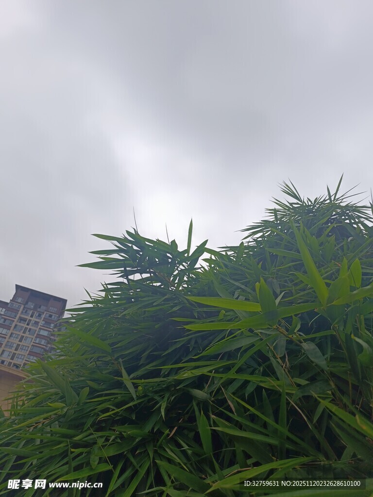 户外绿植景观