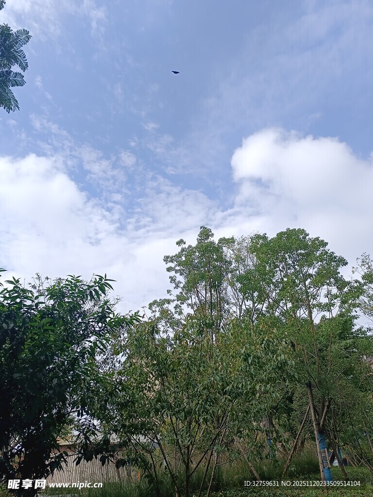 蓝天白云下的葱郁树林