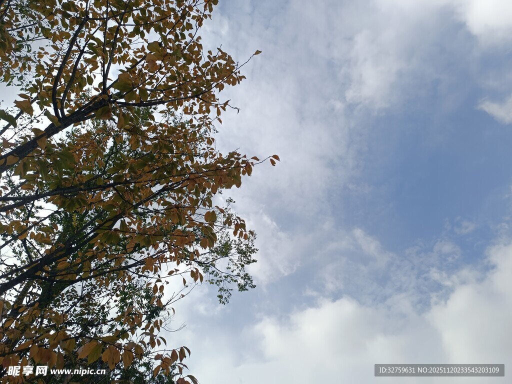 蓝天绿树间的秋日景致