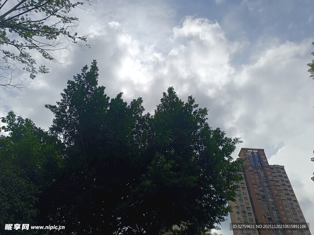 绿树映衬下的高楼与天空