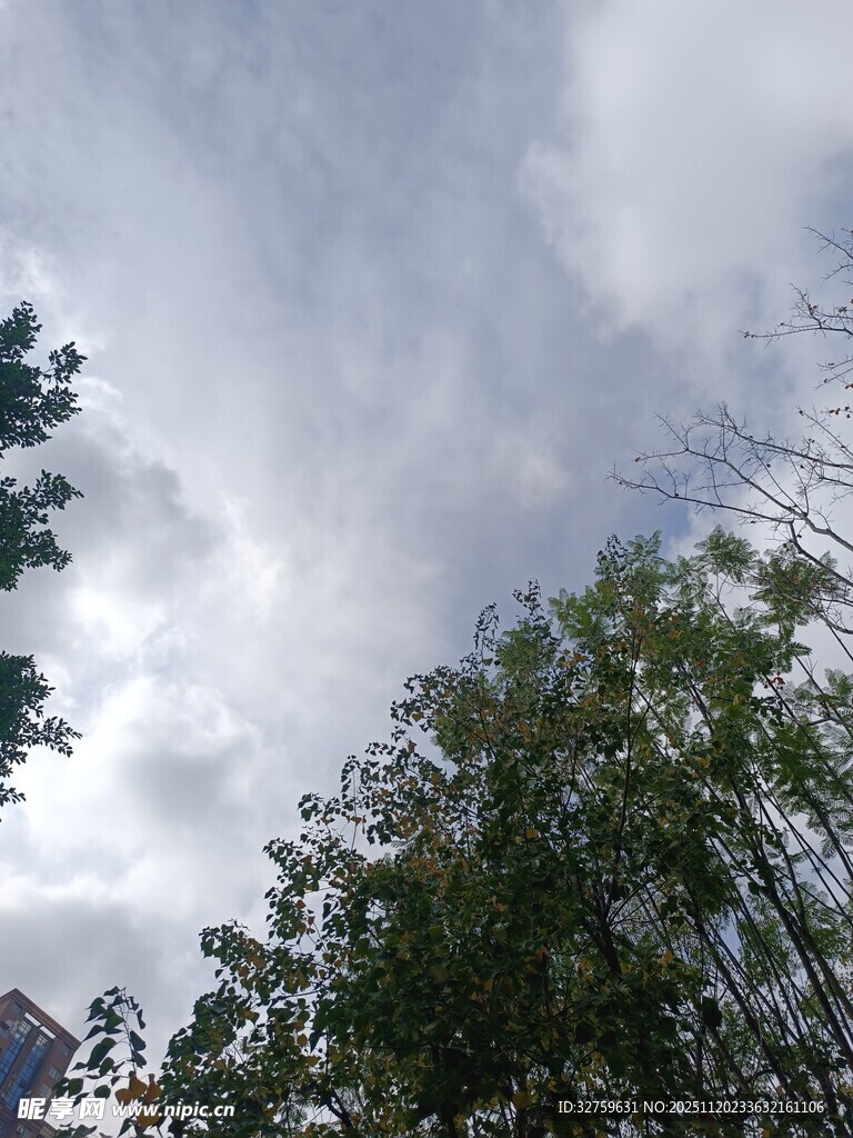 天空下的绿树与云朵