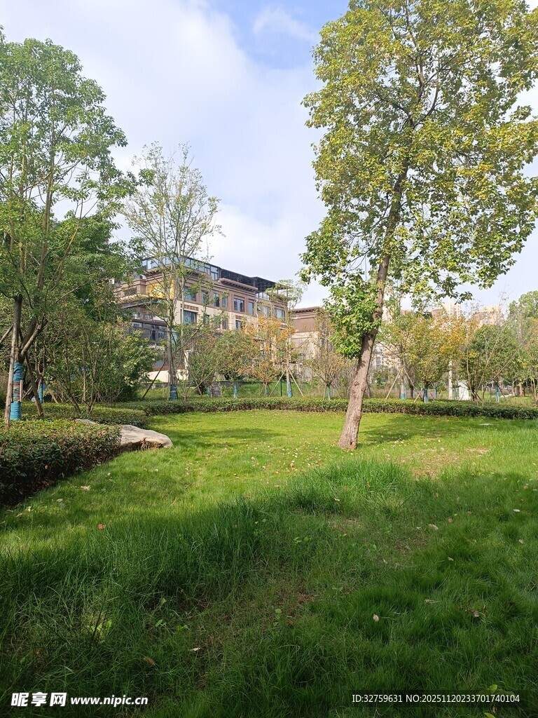 绿意盎然的户外庭院景观