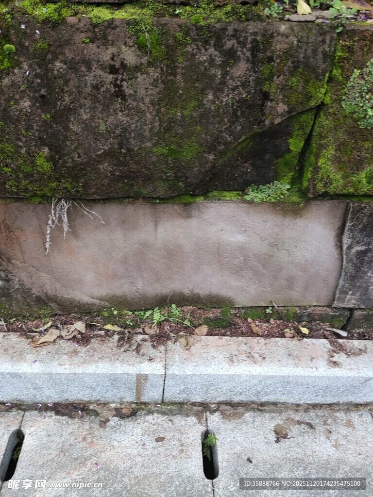 墙角苔藓与排水孔景象