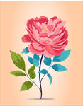牡丹插画