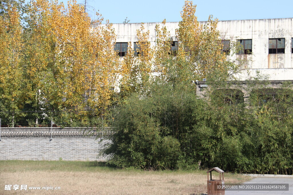 秋日厂区旁的绿植景观