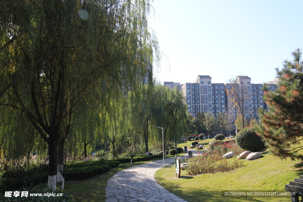 城市中的静谧林荫小道