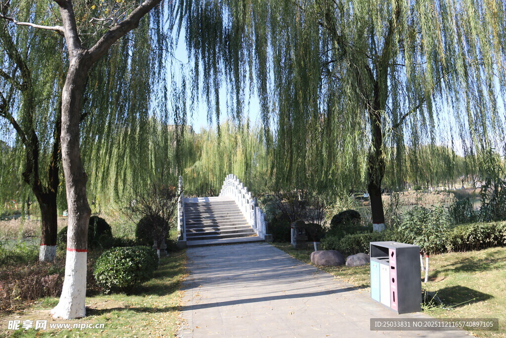 春日柳荫下的幽静小道