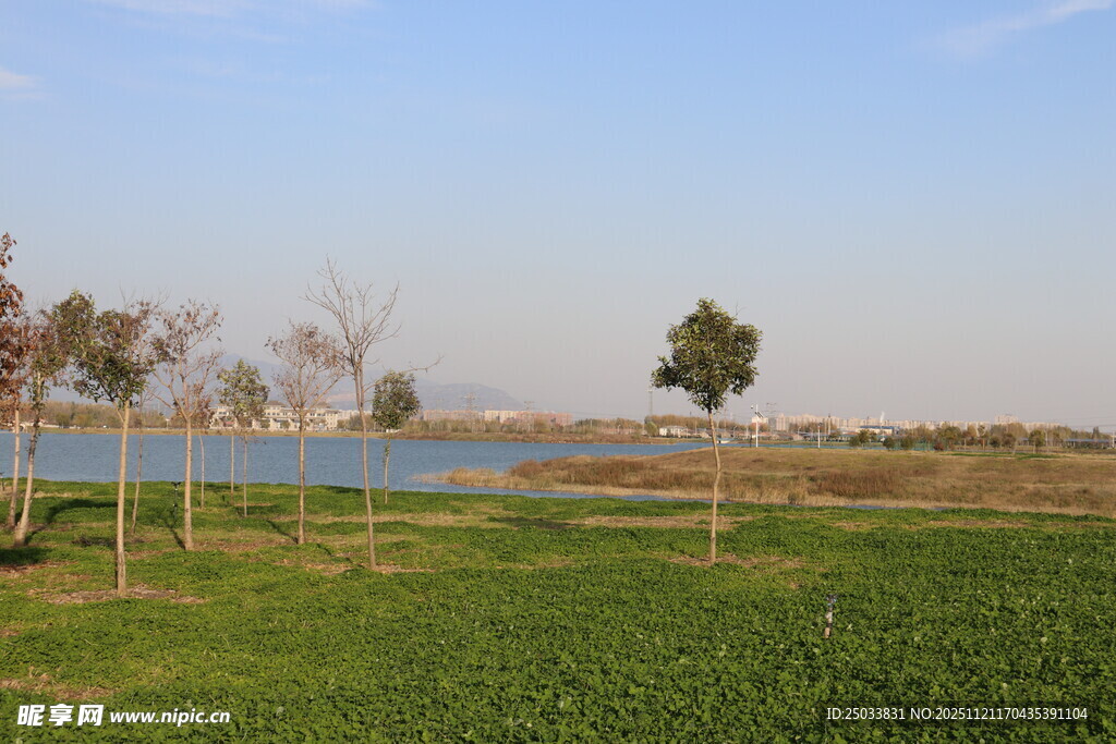 湖畔绿野风光