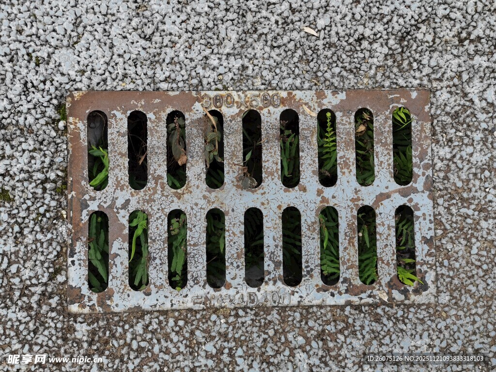 地面排水铁篦子长满青苔