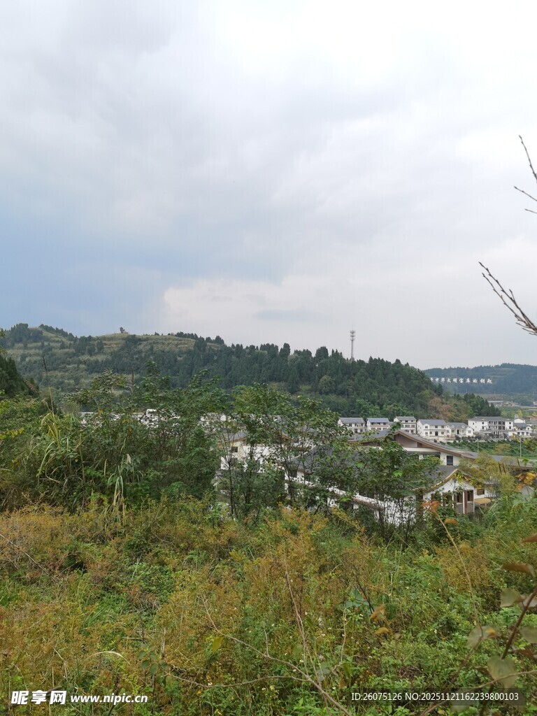 山间绿野中的村落景致