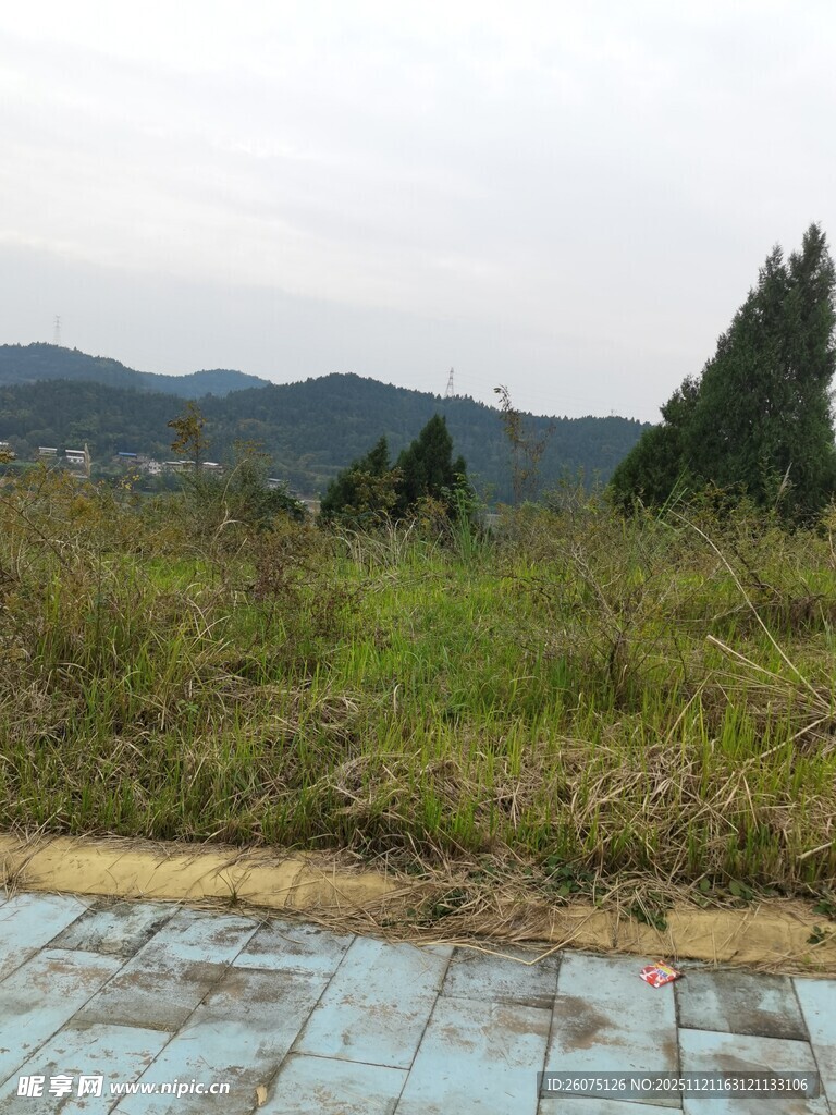 户外草地旁的老旧蓝色地面