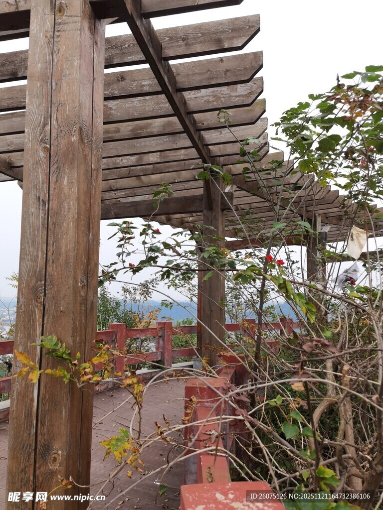 木质廊架下的户外景致