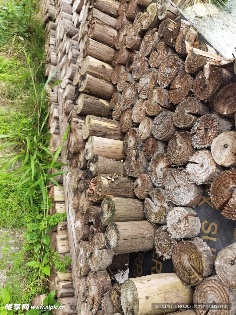 整齐堆放的原木