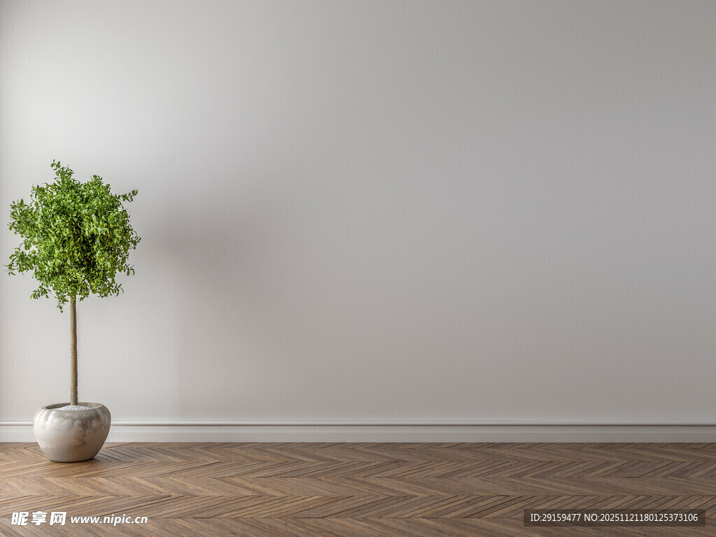 室内绿植装饰简约空间