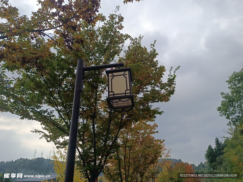 秋日路旁复古路灯与树木