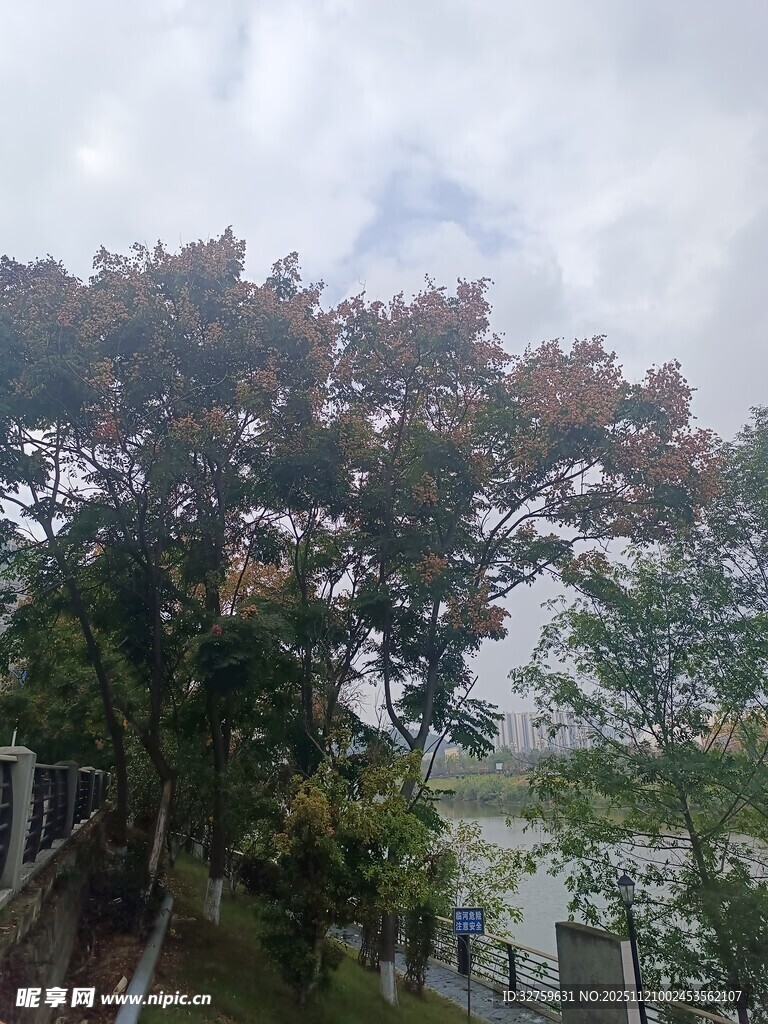 湖畔绿树成荫的自然景致