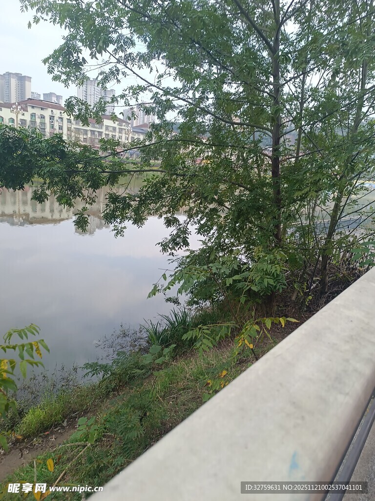 城市河畔风景