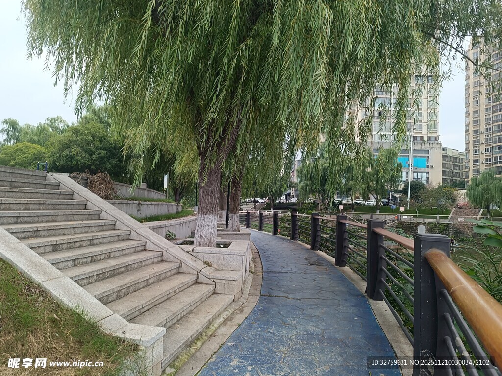 公园垂柳下的幽静步道