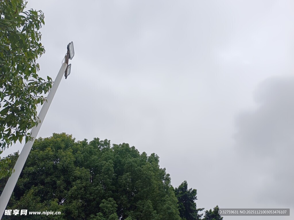 户外路灯与茂密绿树景观