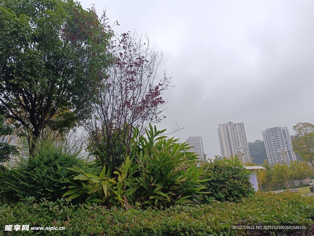 城市中的绿意景观