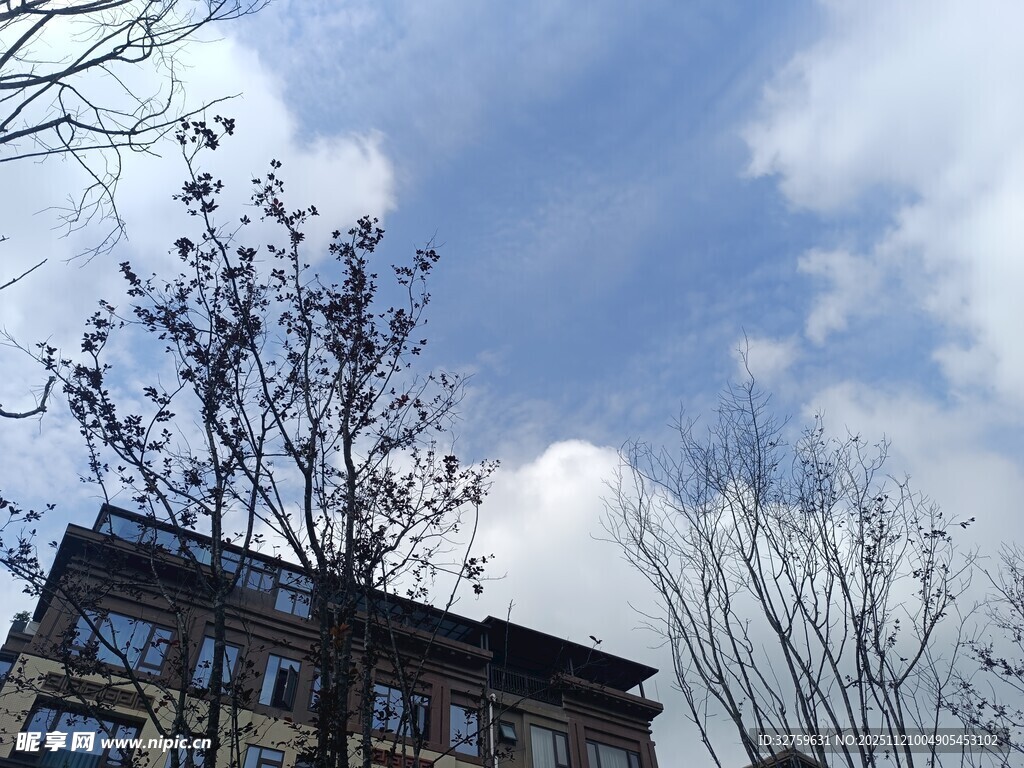 蓝天白云下的建筑与树木