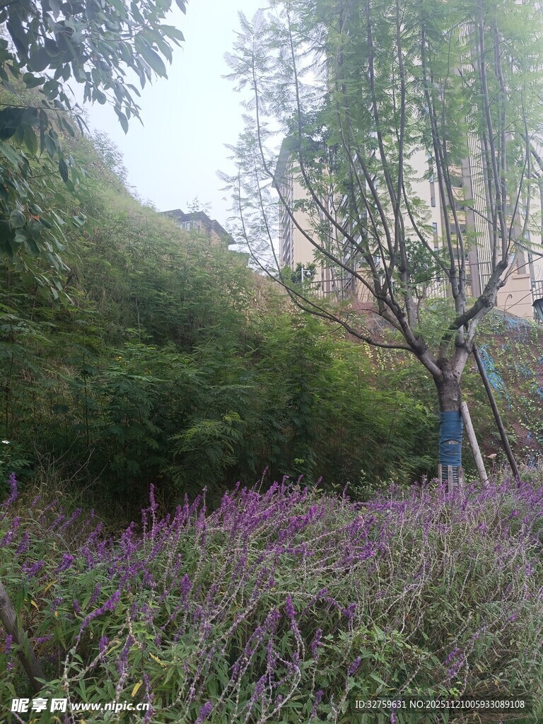 女子漫步于花草繁茂之地