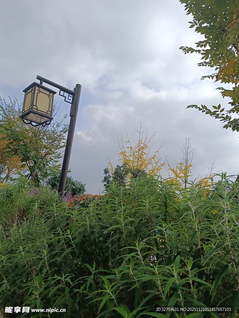 户外绿植中的复古路灯