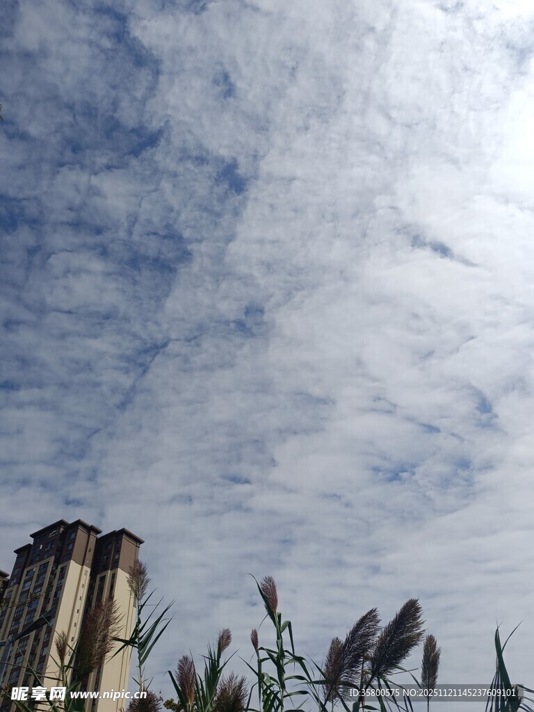 城市上空的云朵景观