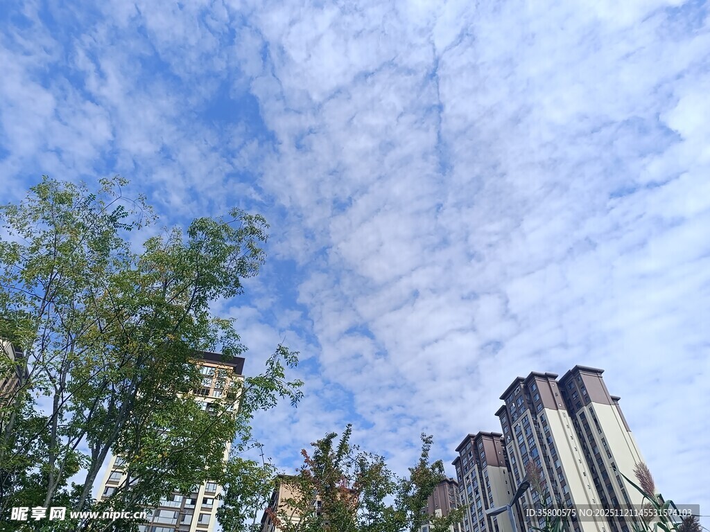 蓝天白云下的城市建筑