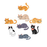 卡通猫咪插画