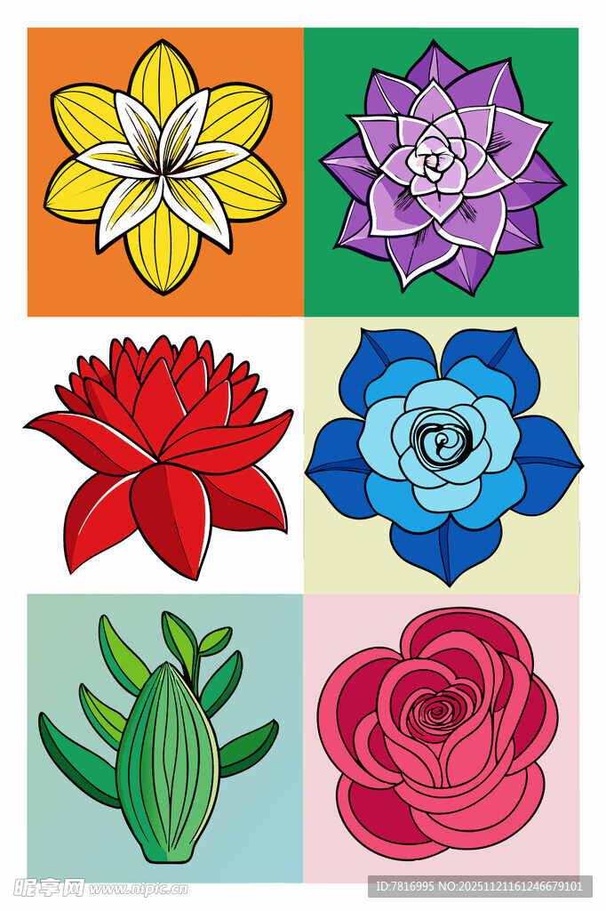 多彩手绘花卉图案集合