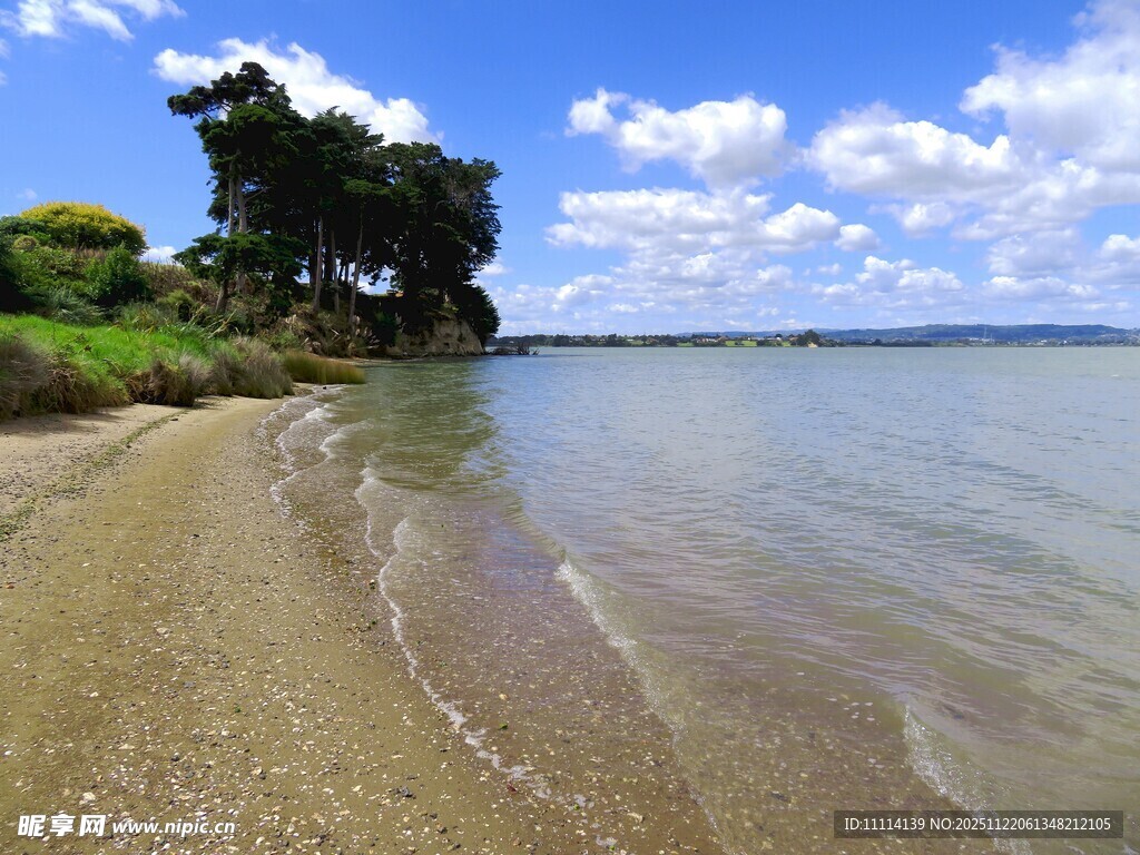奥克兰海边风景