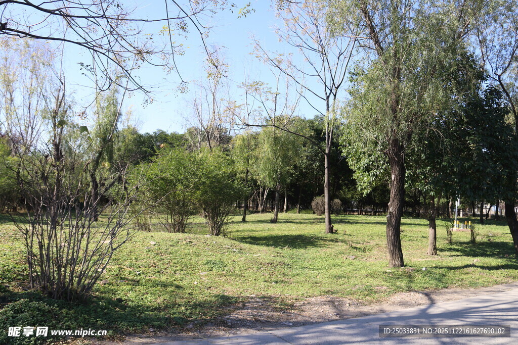 春日公园林间小道景色