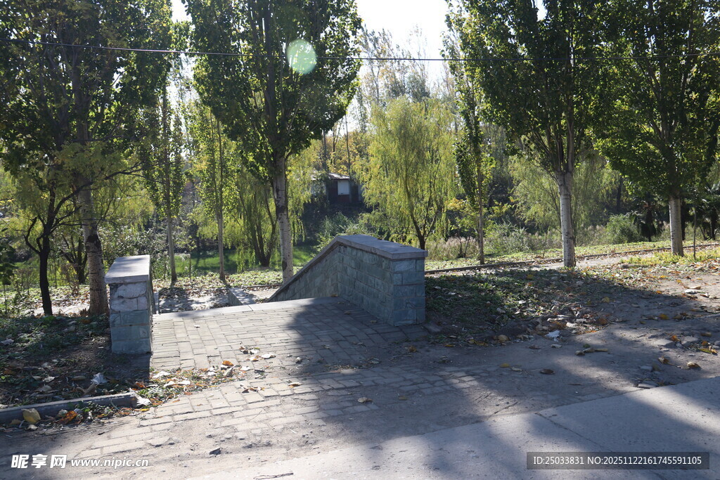 林间小路 静谧自然景致